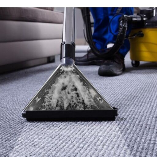 Local Carpet Cleaners Brisbane Eco Friendly Cleaning Services